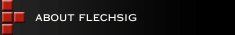 about flechsig