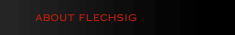 about flechsig
